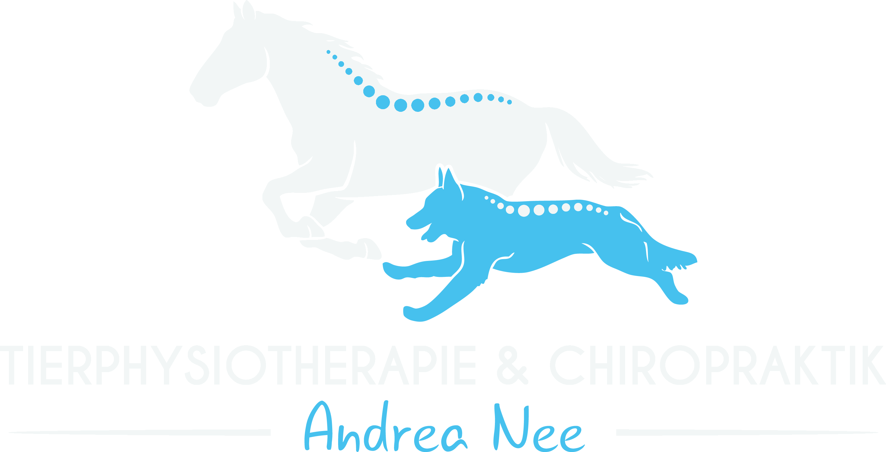 Tierphysiotherapie Andrea Nee - Tierphysio Logo (2995x1528), Png Download