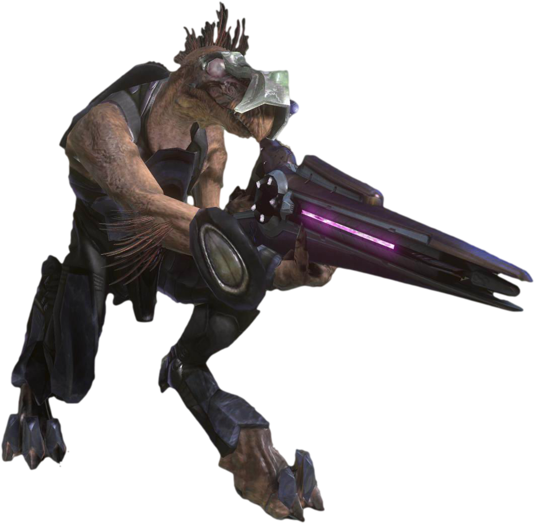 Clip Art Image H Jackal Png Nation Fandom - Jackal Halo (1536x1152), Png Download