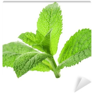 Nepeta (400x400), Png Download