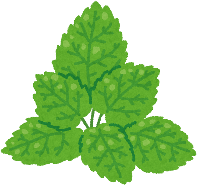 Mint Png Download - ミント 絵 (785x785), Png Download