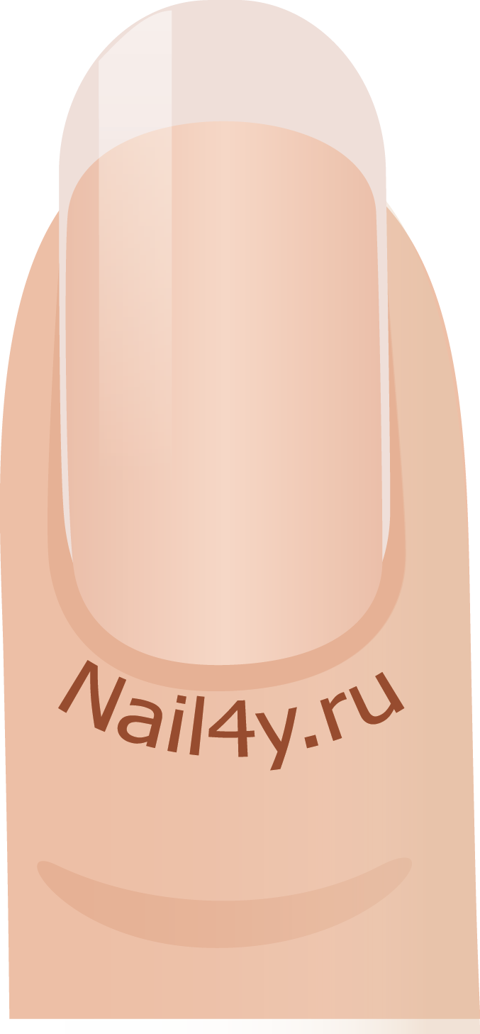 The Technique Of Giving The Nails A Classic Oval Shape - Poster (677x1457), Png Download