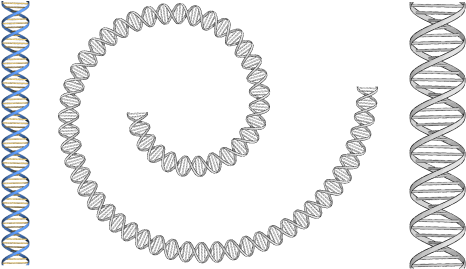 A Blog For James - Gold Stainless Steel Rolex Chain (502x287), Png Download