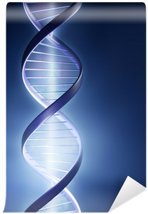 Point Of Light: Communicate With Your Dna, Change Your (400x400), Png Download