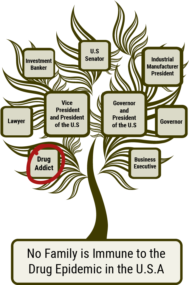 Addiction Crosses All Barriers, All Lines, All Races, - Drug Addict Family Tree (652x955), Png Download