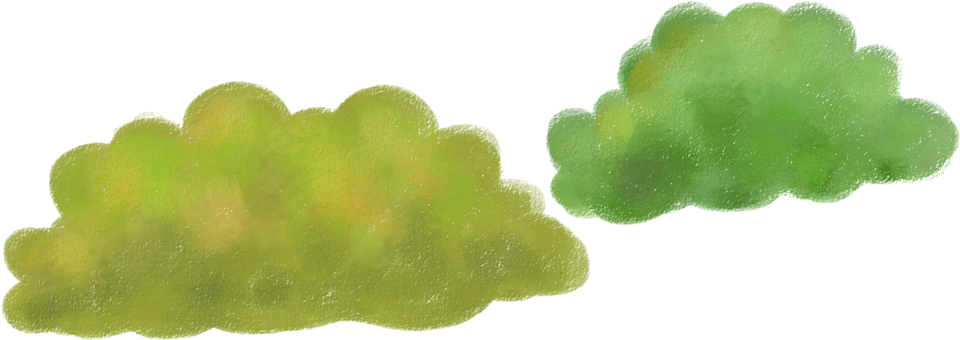 Download Hd Cartoon Bush 1000 1000 Transprent Png Free Download Bush Cartoon Transparent Png Image Nicepng Com