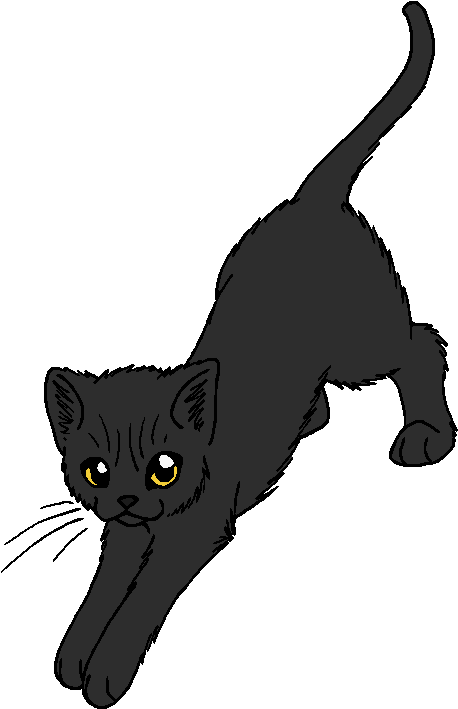 Dark Whiskers - Owl Eyes Warrior Cats (561x789), Png Download