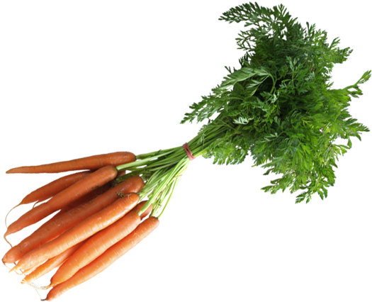 Carrots - Health (541x448), Png Download