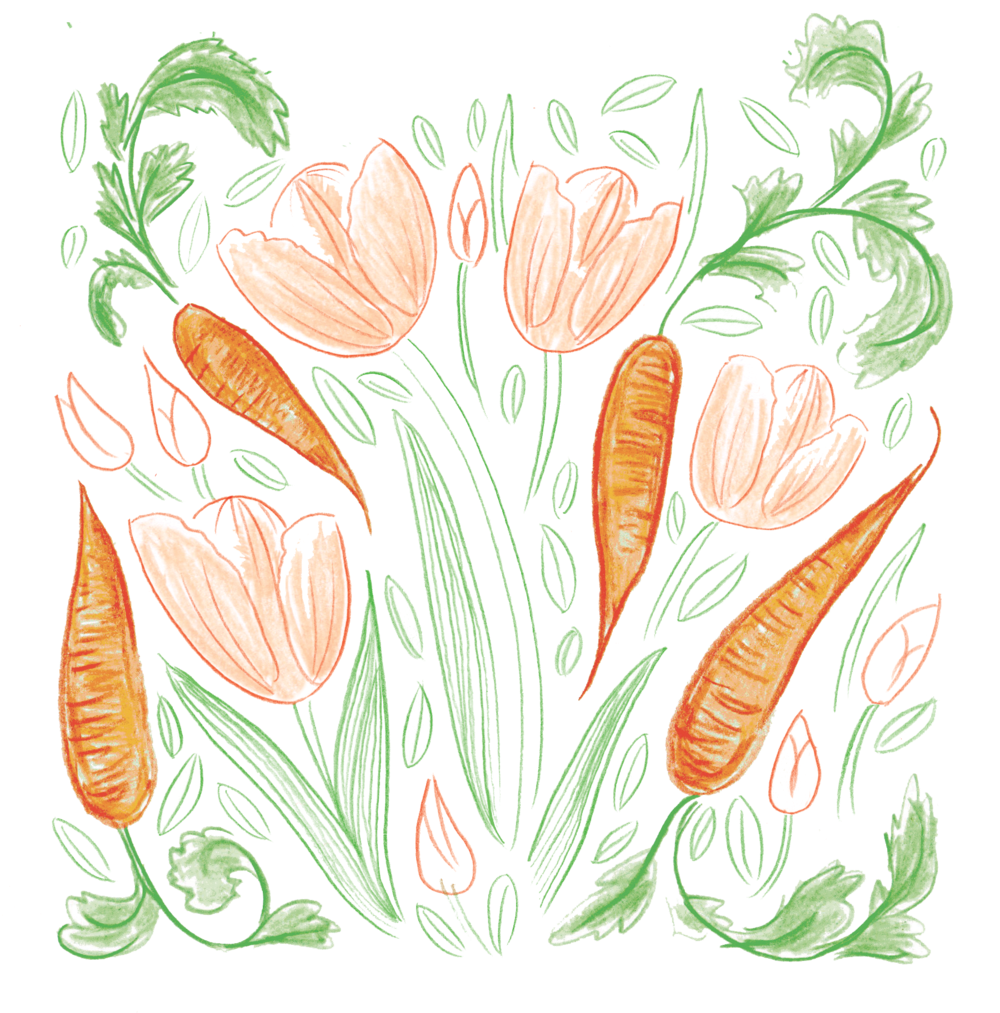 Carrots - Carrot (1000x1047), Png Download