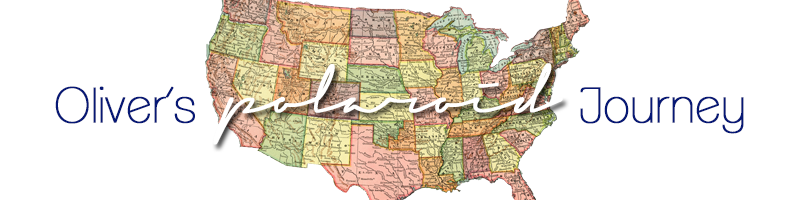 Vintage Plasma Cut Steel Usa Old Style Map License (800x200), Png Download