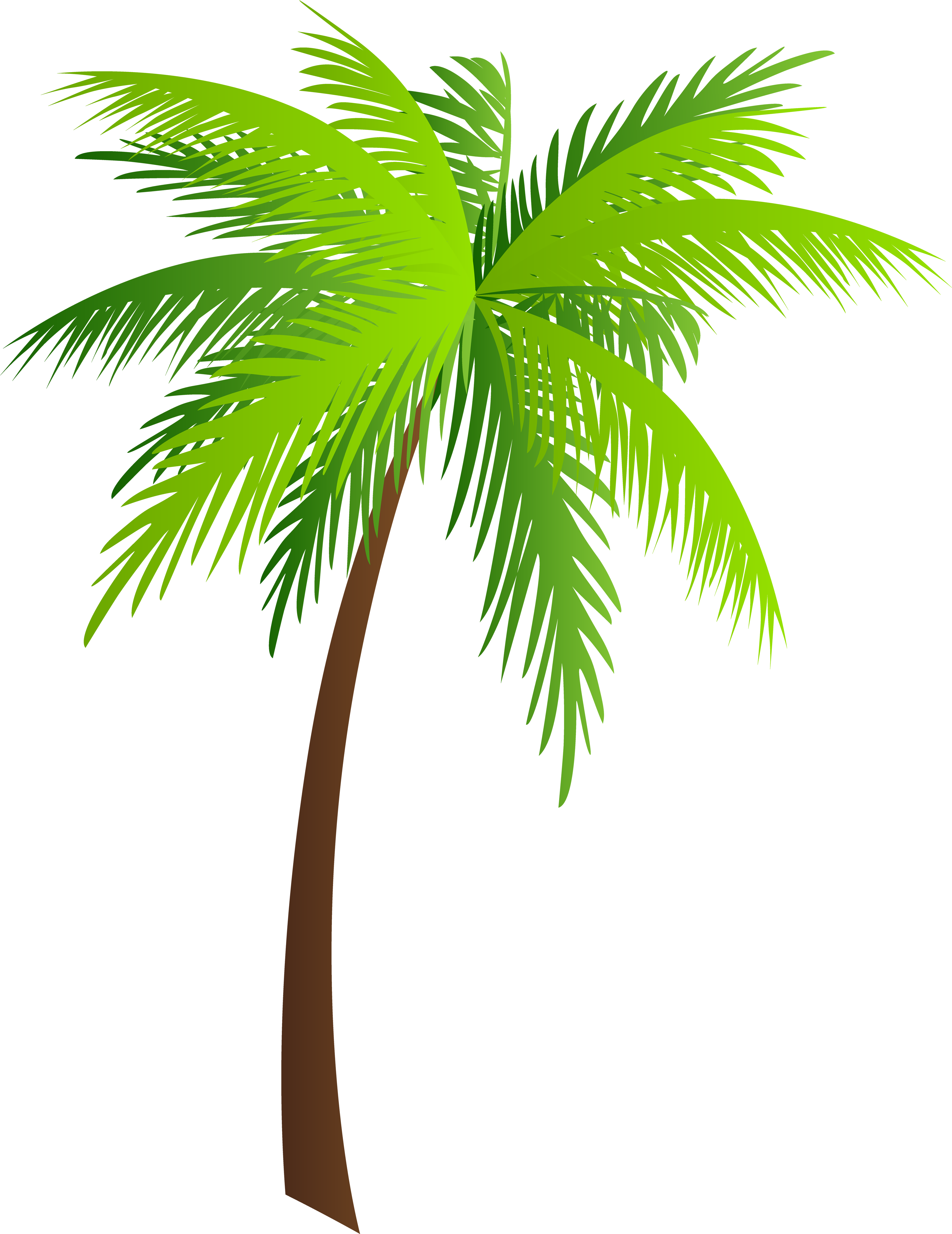 Palm Clip Art (3857x5000), Png Download
