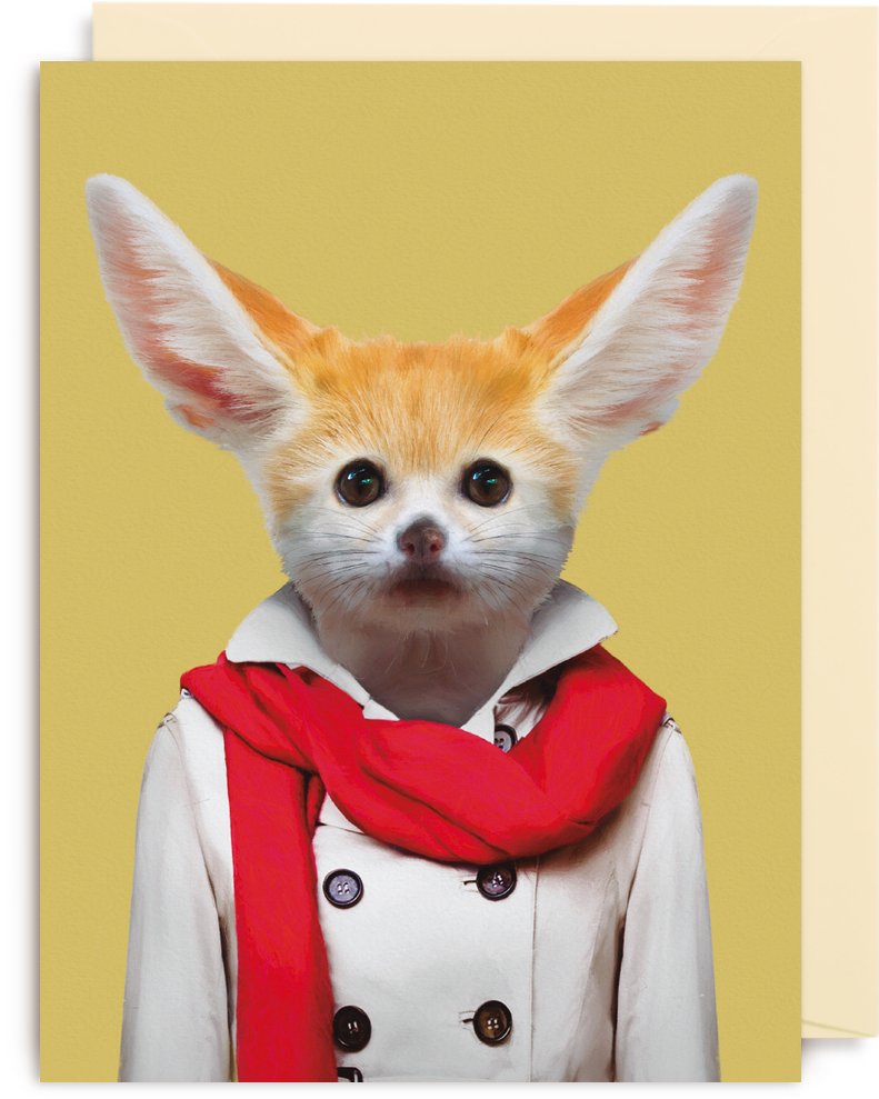 Zoo Portrait Fennec (1400x1500), Png Download