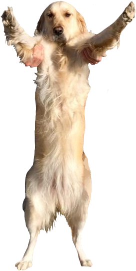 Shes So Tall, @markiplier - Markiplier (400x650), Png Download