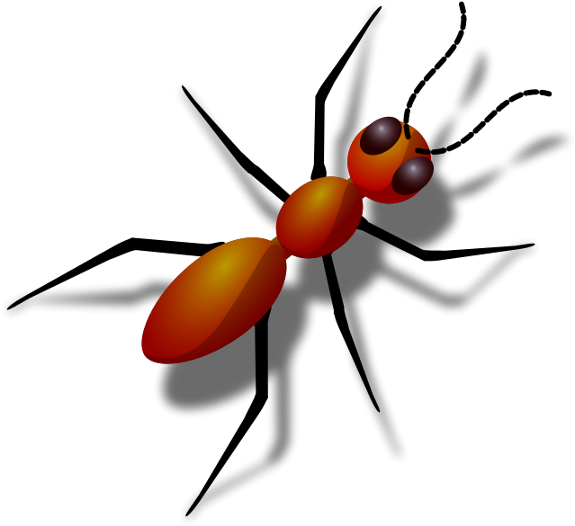 Ant - Ants Clipart Png (800x800), Png Download