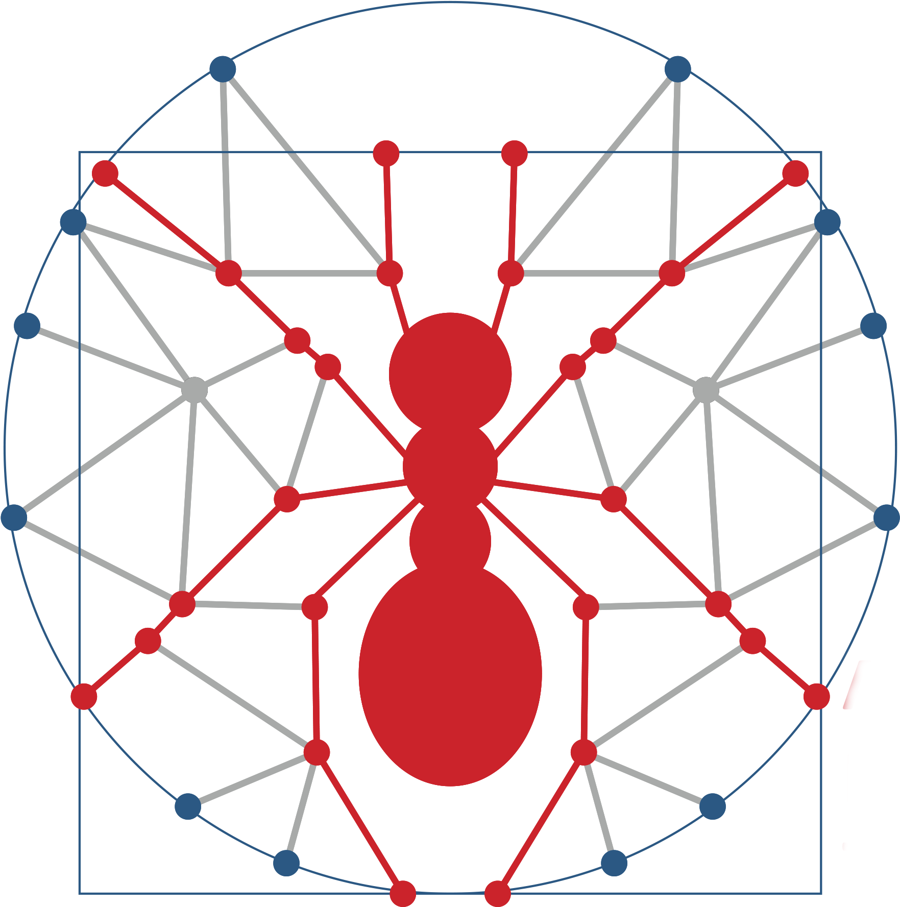 Ant 0 - 0 - - Ant Network (1813x1798), Png Download