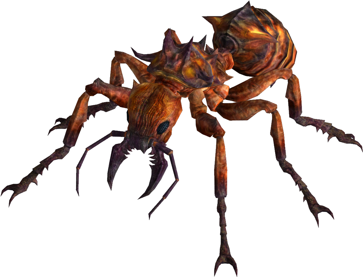 Ant Venoms - Fire Ants (1200x910), Png Download