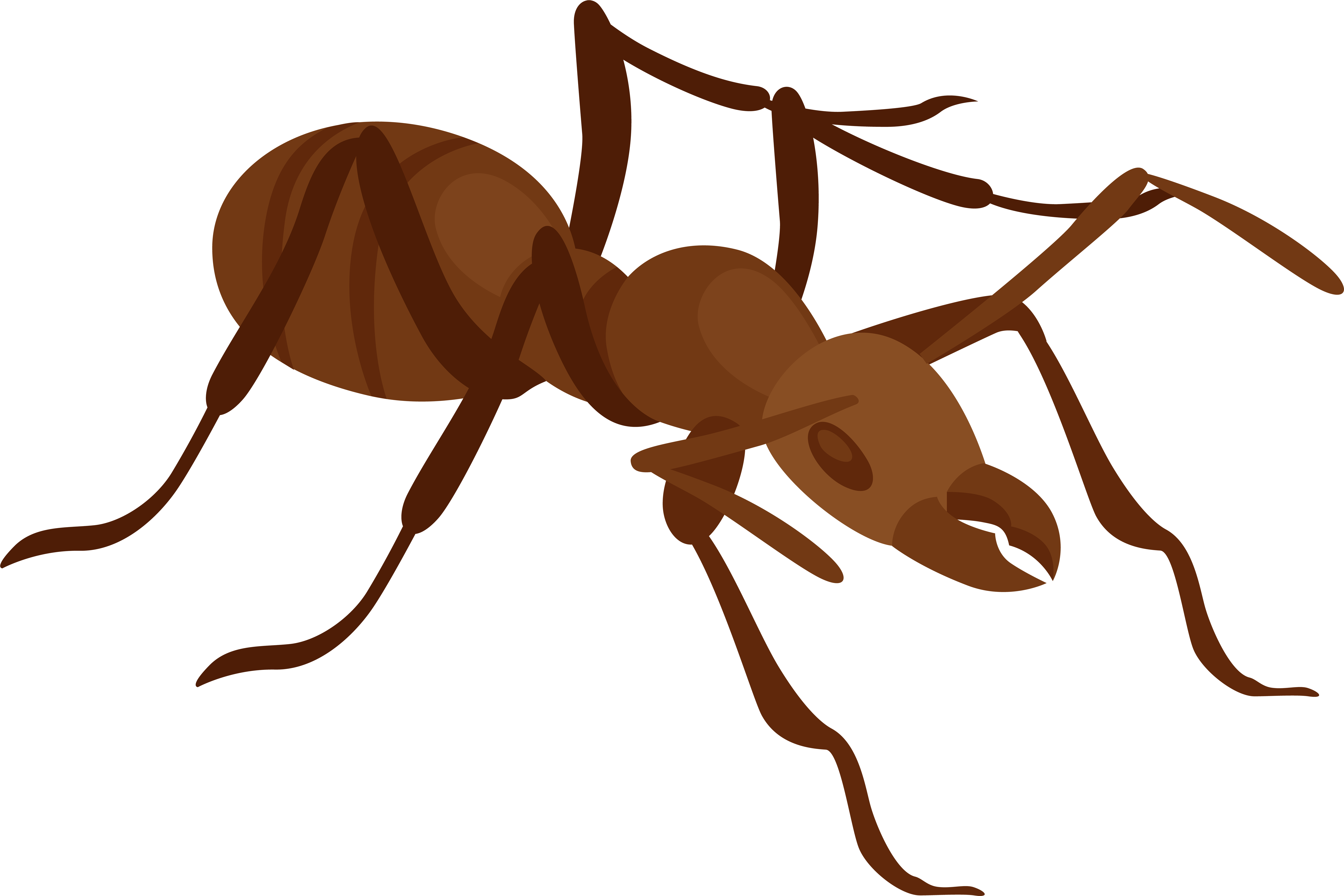 Ant Png Clip Art - Ant Clip Art (8000x5335), Png Download