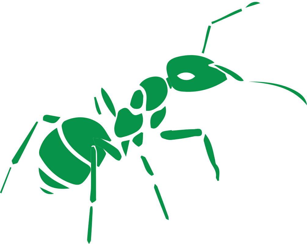 Ant (1005x797), Png Download