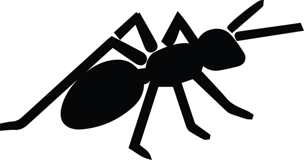 Site Blog Gamergate - Leptomyrmex (1000x526), Png Download