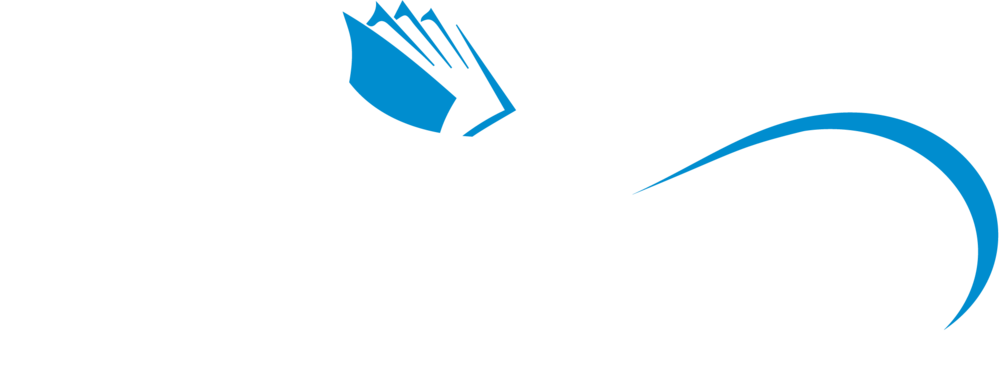 Second Wave - Pantone - Full Logo - White And Blue - Electronic Arts Old Logo (1000x367), Png Download