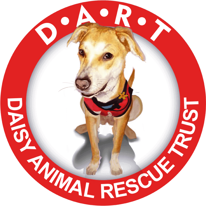 Daisy Animal Rescue Trust - De Vera's Medical Center (745x745), Png Download