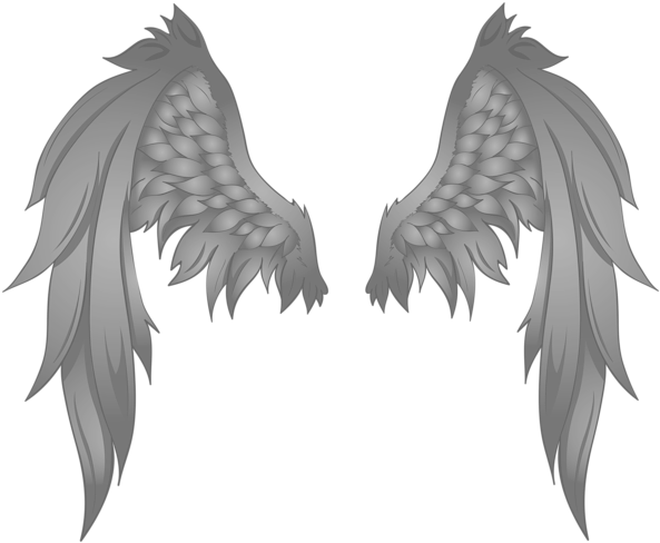 Black Wings Transparent Png Image - Black Angel Wings Transparent Behind (600x493), Png Download