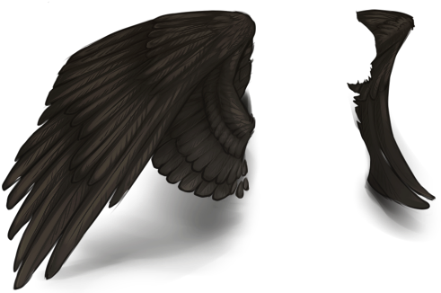 Raven (640x500), Png Download