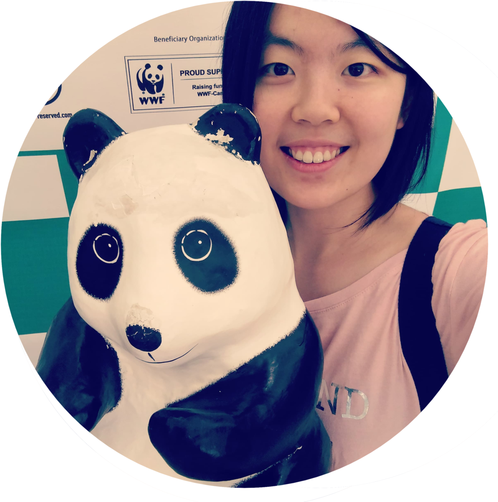 About Me Profile Picture Circle 1 - Panda (1000x1000), Png Download