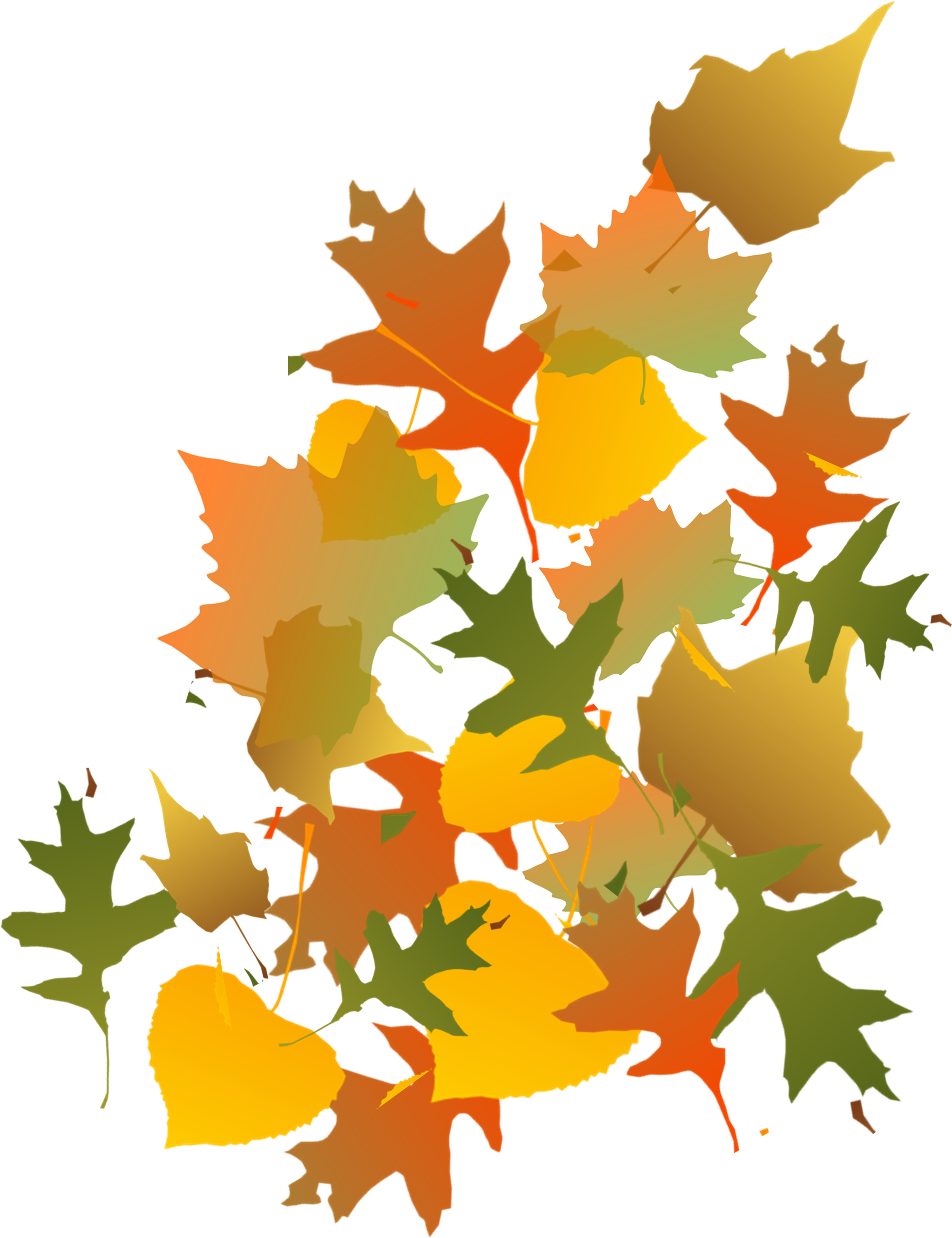 Fall Leaves Image - Autumn Leaves Clip Art (2226x3024), Png Download
