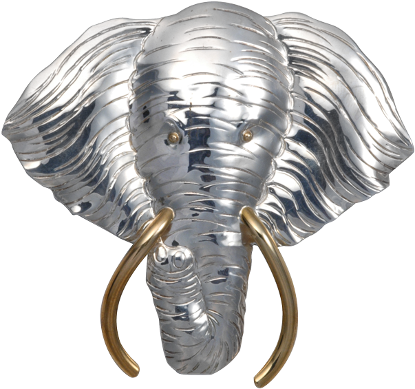 Elephant Head - Lg (640x640), Png Download