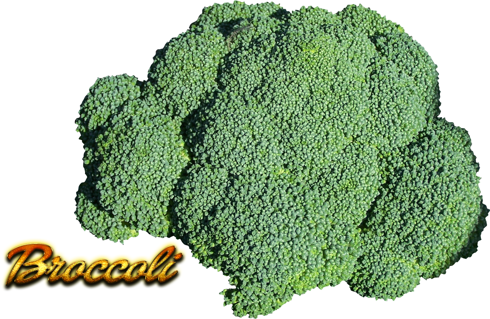 Broccoli Png (1920x1200), Png Download