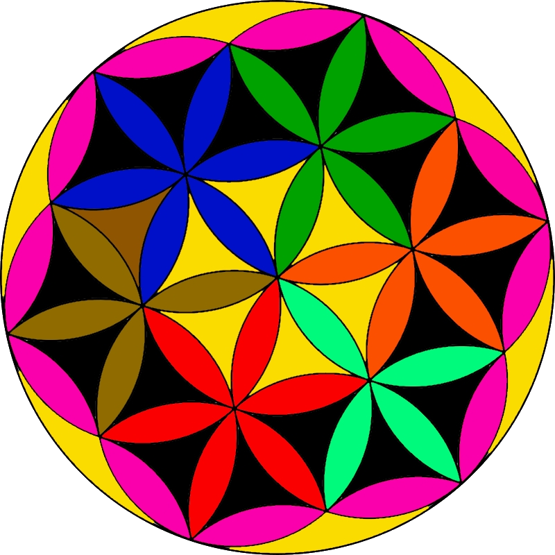Flower Of Life - Circle (800x800), Png Download