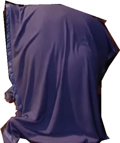 The Blanket - Silk (419x480), Png Download