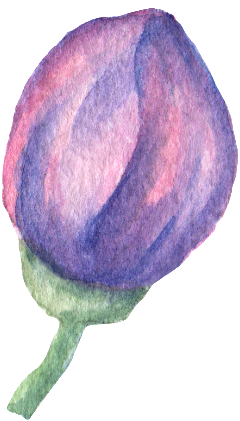 Hand Painted Purple Flowers Flowerbed Watercolor Transparent - Watercolor Painting (1024x1730), Png Download
