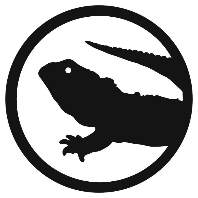 Tuatara John Green (678x678), Png Download