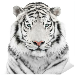 White Tiger Head Throw Blanket (400x400), Png Download