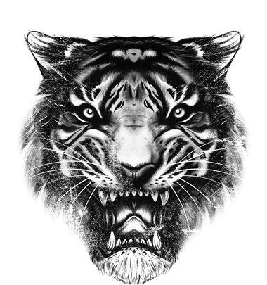 Drawn Tiger Pencil And - Tiger Top (400x467), Png Download