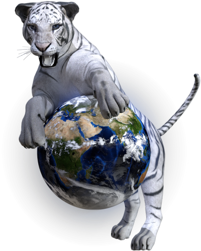 White Bengal Tiger,predator - White Tiger (500x778), Png Download