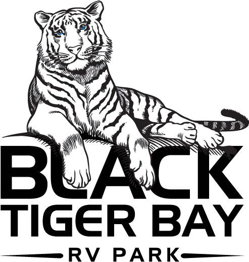 Aaron Johnson • - Black Tiger Logo Png (513x542), Png Download