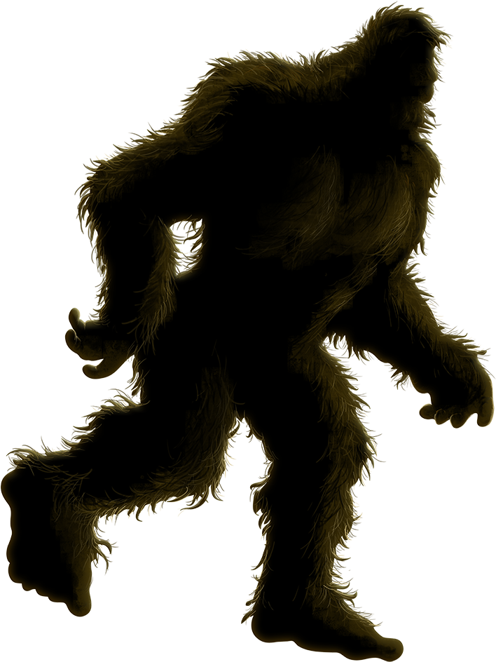 Big Foot - Shirt (800x1020), Png Download