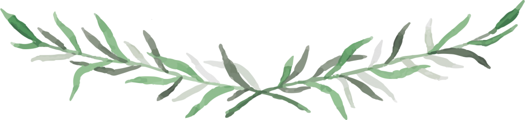 Design Galleries - Plant Design Png (1024x234), Png Download