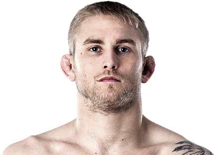 Gustafsson - Alexander Gustafsson Chin (500x325), Png Download