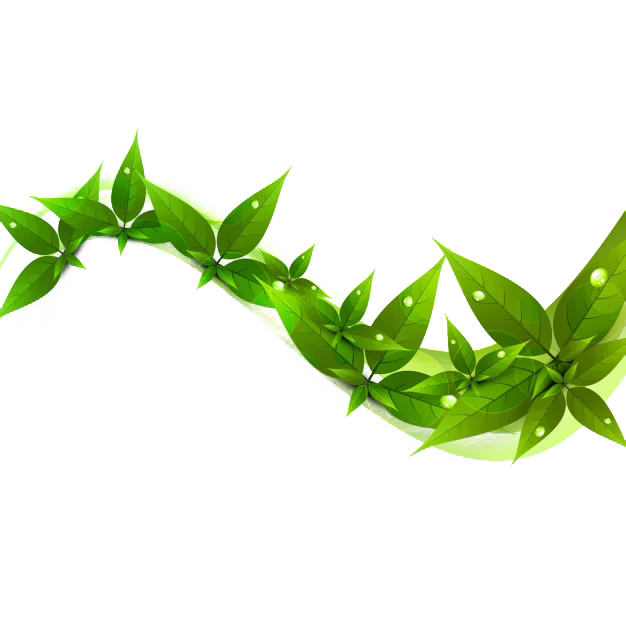 1/2 The Cost Of Other Organic Oral Care Products With - صور الماهر بالقرآن مع السفرة الكرام البررة (626x626), Png Download