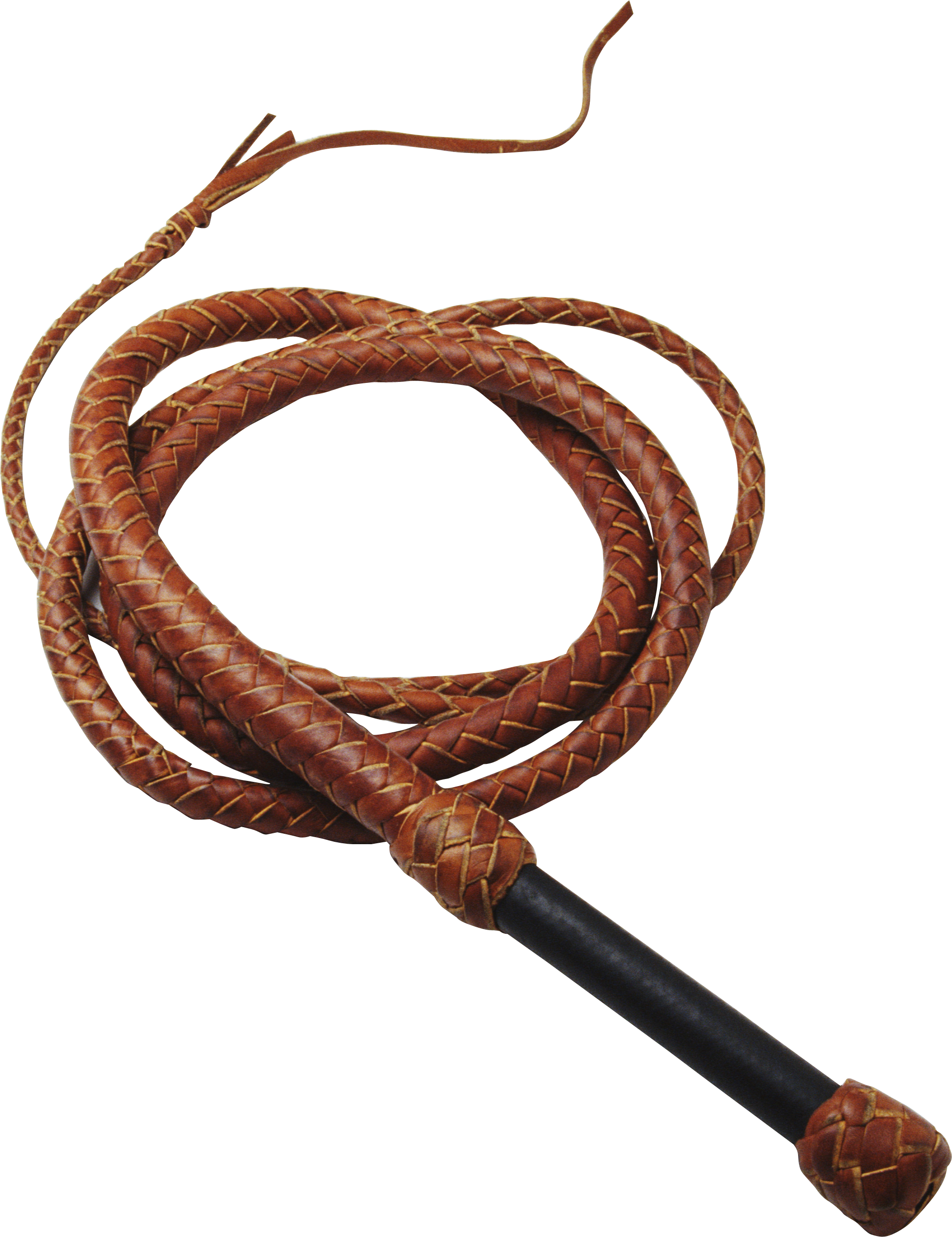 Whip Rope (2016x2620), Png Download