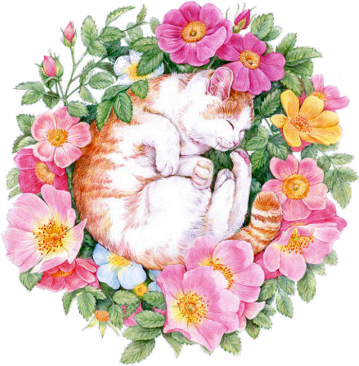 U B E Bu - Color Pencil Flowers Painting (700x780), Png Download