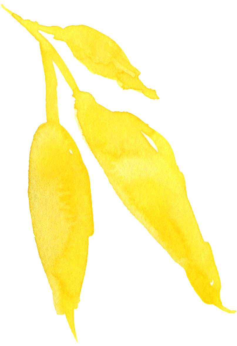 This Graphics Is Watercolor Yellow Flower Transparent - Tree (1024x1347), Png Download