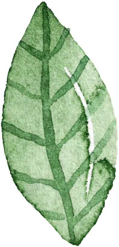 Green Leaf Hand Painted Watercolor Cartoon Transparent - Portable Network Graphics (1024x1024), Png Download