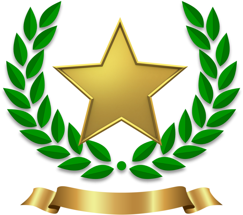 Gold Star - Laurel Wreath (1000x1000), Png Download