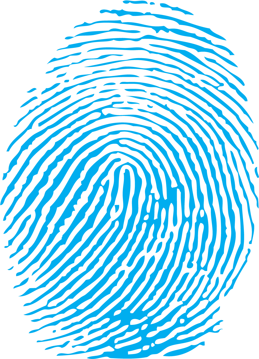 Google Search - Fingerprint Png (1000x1388), Png Download