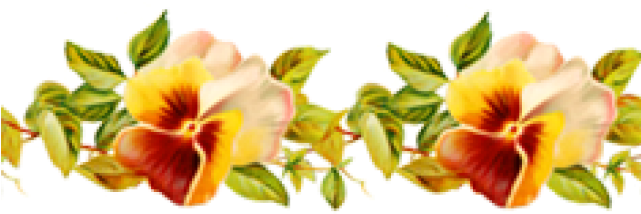 Flower Border Png - Blank Greeting Cards Designs (640x480), Png Download