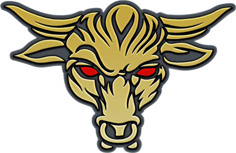 Wwe Images The Rock New Logo 2013 Hd Wallpaper And - Brahma Bull The Rock Meme (828x535), Png Download